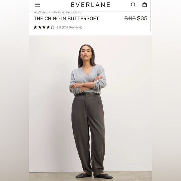 Everlane Pants - Everlane Graphite Chino Pants